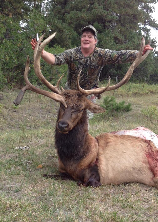 Elk Hunting in Colorado